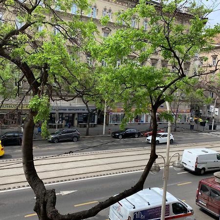 Luxury Apartment In The Central ブダペスト エクステリア 写真